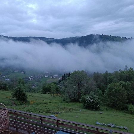 Les Chalets Bambi & Jacuzzi Privatif La Bresse Exteriör bild