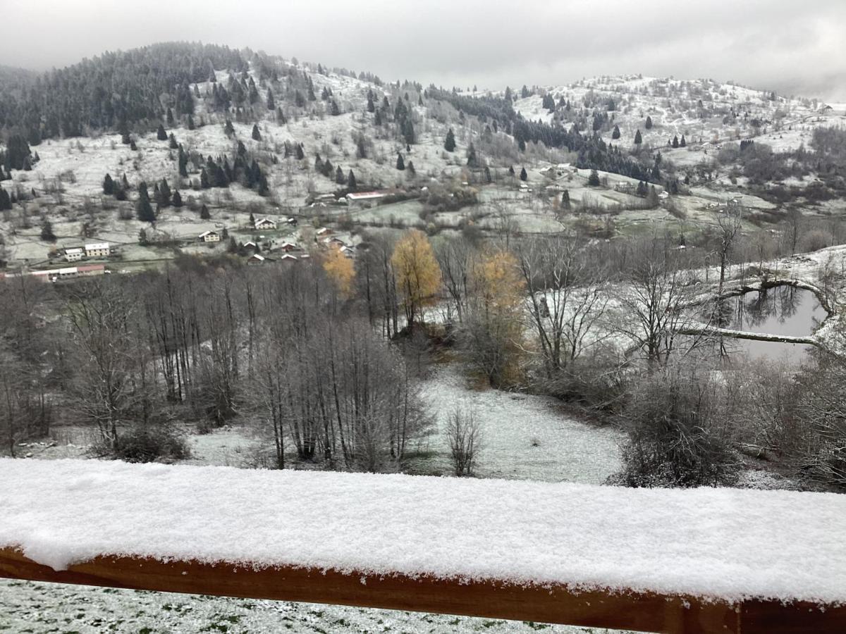 Les Chalets Bambi & Jacuzzi Privatif La Bresse Exteriör bild