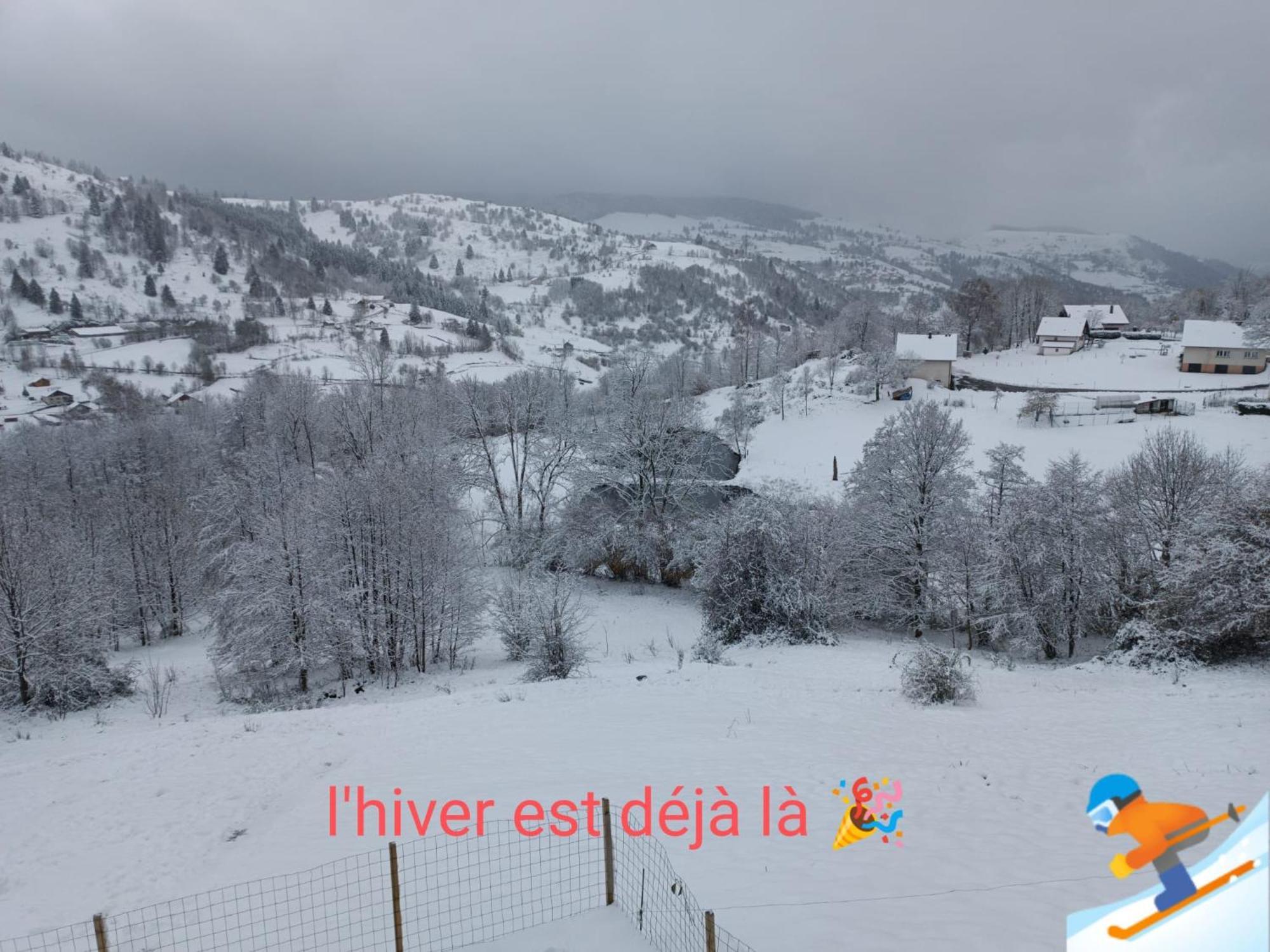 Les Chalets Bambi & Jacuzzi Privatif La Bresse Rum bild
